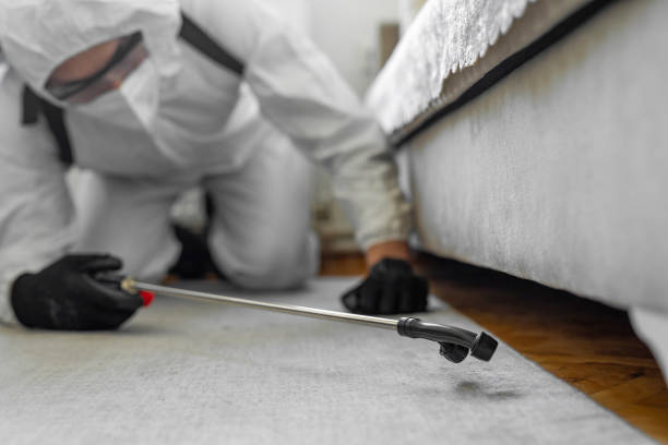 Professional Bed Bug Control technician working in Dalton Gardens, ID
