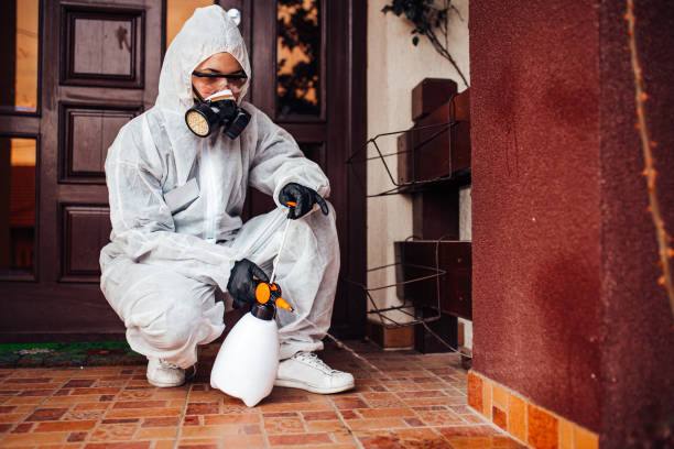 Reliable Bed Bug Control contractor in Dalton Gardens, ID by Nex Pest Control